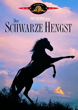 Der schwarze Hengst [DVD] [2003]