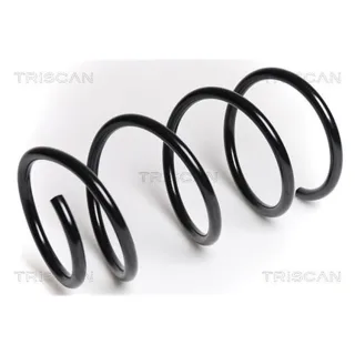 Triscan Feder vorne BMW 5er E60 875011127