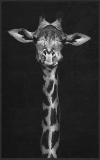 Fussmatte Giraffe 7687 | Größe: 60 cm x 90 cm