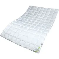 Garanta Sommerbettdecke Bettdecke SILK WASH leichte Sommerdecke, Wildseide