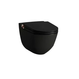 LAUFEN Dusch-T-WC wandh. RIVA 600x355x405 rim. sch mt m. Controller Rosegold gl, H8206917190001 H8206917190001
