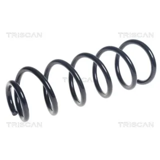 Triscan Feder hinten Mazda Cx-5 875050112