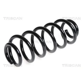 Triscan Feder hinten Audi A3 Peugeot 308 Seat Altea Leon