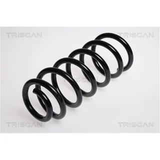 Triscan Feder hinten Audi A6 C5 875029383