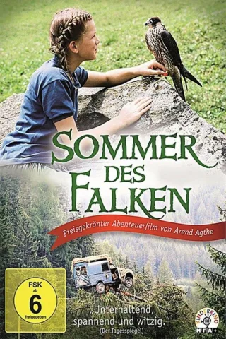 Sommer des Falken