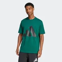 adidas Sportswear T-Shirt ESSENTIALS BIG LOGO klassische Silhouette, mit Rundhalsausschnitt