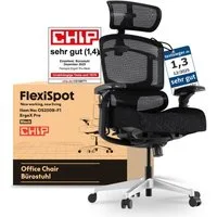 FLEXISPOT Bürostuhl ErgoX, Schreibtischstuhl Premium Ergonomischer (mit 7D-Armlehnen, 5D-Lendenstütze, 4D-Kopfstütze), Schaumstoffsitz Schreibtischstuhl, 250 kg Belastbarkeit