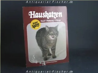Hauskatzen. [Kauf Haltung Pflege].