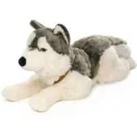 Uni-Toys Kuscheltier Großer Husky (mit Geschirr) - 62 cm (Länge) - Plüsch-Hund - Plüschtier, zu 100 % recyceltes Füllmaterial