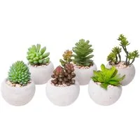 Kunstkaktus Sukkulenten Sukkulente, Botanic-Haus, Höhe 10 cm