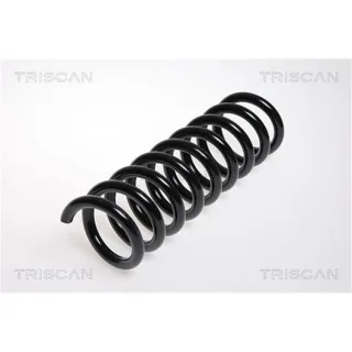 Triscan Feder hinten Mercedes C-Klasse W203 87502365