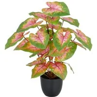 Kunstpflanze Caladium, Creativ green, Höhe 40 cm, mit außergewöhnlicher Blattzeichnung