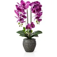 Kunstorchidee PASCH® Orchidee künstlich wie echt (60cm) in Urban Stone Töpfen Orchidee, PASCH, Real Touch Blüten, Handgefertigter Stone Cube