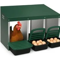 GarveeMore Hühnerstall Hühnchen Nesting Boxes 3 Fach Nesting Box für Hühnchen