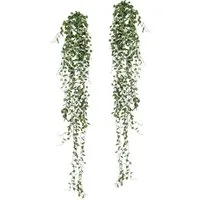 Kunstranke Mühlenbeckia-Hänger Mühlenbeckia, Creativ green, Höhe 80 cm, 2er Set