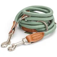 Leisegrün Hundeleine Hundeleine für kleine Hunde, nur 160g leicht, Hundeleine 2m - Grün, Nylon