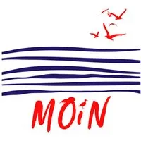 ti-flair Papierserviette, Servietten Papier 33x33cm 3-lagig Moin Motiv 20 Stück Weiß Blau Rot