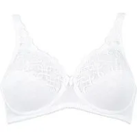 Triumph T-Shirt-BH Letizia W01 X