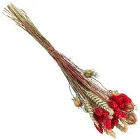 Trockenblume Blumenstrauß Luna aus Blumen und Gräsern, Länge 40 cm, rot Keine Angabe, Dehner, handgefertigtes farblich abgestimmtes Bouquet, auch für DIY-Projekte