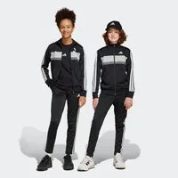adidas Sportswear Trainingsanzug SEASONAL ESSENTIALS TIBERIO 3-STREIFEN TRICOT KIDS (2-tlg)