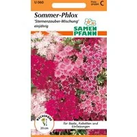 SAMEN PFANN Blumensamen Sommer-Phlox, Sternenzauber-Mischung - Saatgut Samen, Phlox drummondii