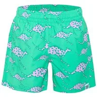 Chiemsee Badeshorts