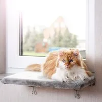 Canadian Cat Company Katzen-Hängematte Snuggly Place, hellgrau, 50x35x2cm, gepolsterte Liege - Aussichtsplattform für die Fensterbank
