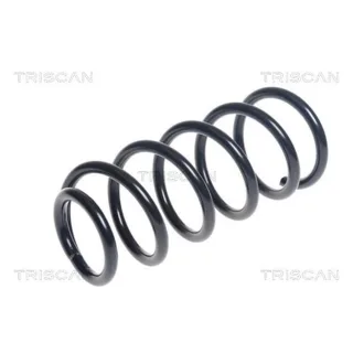 Triscan Feder hinten Mini 875011188