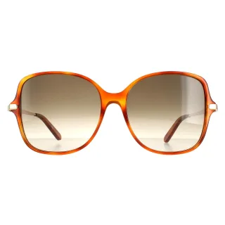 Salvatore Ferragamo Square Damen Schildkröte Grau Gradient SF990SR