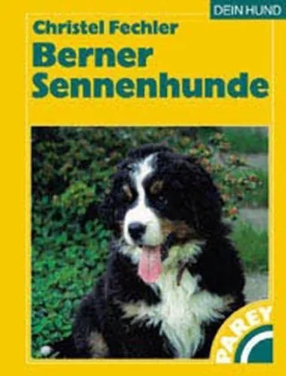 Berner Sennenhunde