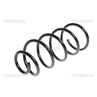 Triscan Feder hinten Fiat Grande Punto 875015174