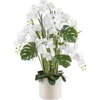 Kunstorchidee Orchidee Phalaenopsis, Creativ green, Höhe 120 cm, mit Gräsern und Splitphilo-Blättern