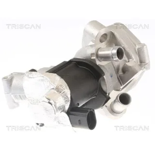 Triscan AGR-Ventil Nissan Navara Pathfinder 3,0