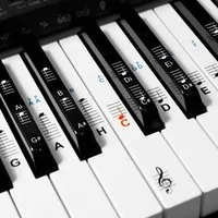 kwmobile Sticker Vinyl Piano Sticker - für 49-88 Tasten Instrumente, (1-tlg), Klavier Noten Aufkleber