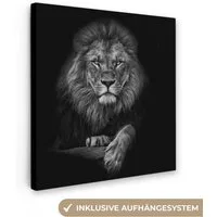 OneMillionCanvasses® Leinwandbild Löwe - Tiere - Schwarz - Weiß, Fotodruck (1 St), Wandbild, Deko Schlafzimmer Wohnzimmer Flur 20x20 cm