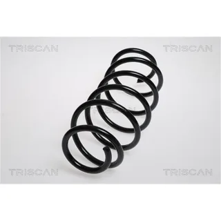 Triscan Feder vorne Peugeot 207 207/207+ 875028105