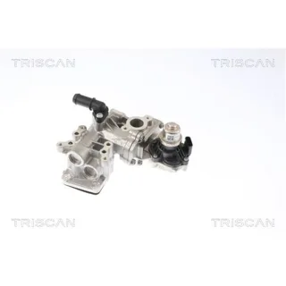 Triscan AGR-Ventil Ford Edge Ford Focus Galaxy S-Max 2,0