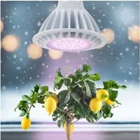 Meine Orangerie Pflanzenlampe SPOT – Spezialleuchte zur Überwinterung von Pflanzen, LED fest integriert, 400-750, LED-Pflanzenlampe, Speziallichtquelle
