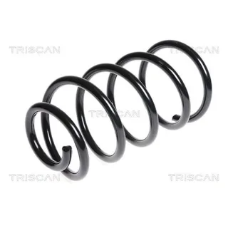 Triscan Feder vorne Ford Kuga 1 2,0 875016071