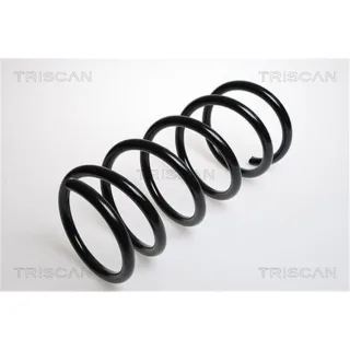 Triscan Feder vorne Citroen C25 Fiat Ducato