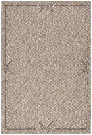 Braun