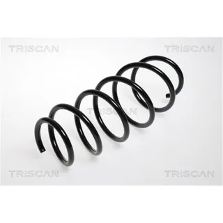Triscan Feder vorne Opel Astra H 1,4 875024047