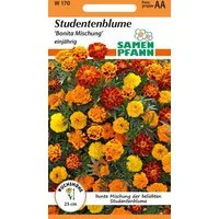 SAMEN PFANN Blumensamen Tagetes, Bonita Mix - Saatgut Tagetes-Samen Samen, Tagetes erecta