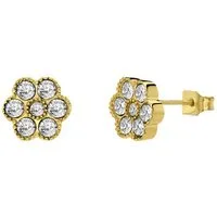 LUCARDI Paar Ohrstecker Ohrring - Stahl - Gold - Zirkonia - Damen
