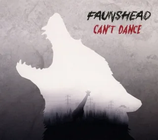 Can't Dance