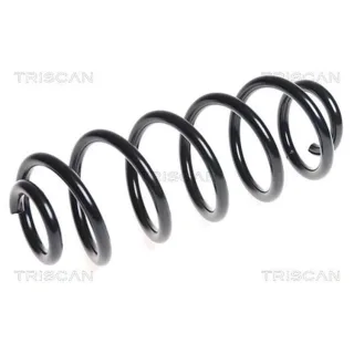 Triscan Feder hinten Audi A4 A5 A6 875029273