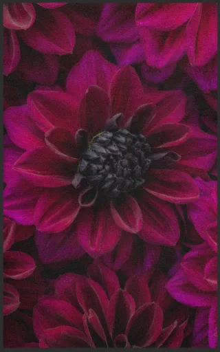 Fussmatte 7335 | Größe: 60 cm x 90 cm