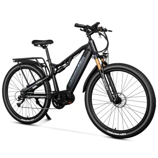 [EU DIRECT] Heda TX TX11 Electric Bike 48V 16Ah 1000W Mid Motor Top Speed 25KM/H 29x2.4 Inch Tire 70KM Mileage 125kg Max