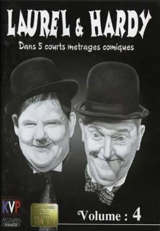 Laurel And Hardy Vol 4 Hollywood Silent Classics NEW DVD