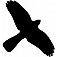 König Werbeanlagen Hinweisschild Vogelschutz Aufkleber für Fenster